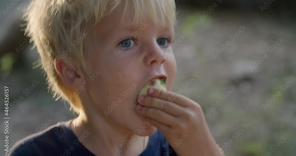 Cute handsome little blond boy is holding an open fig in the sunset and eating it with appetite. Blue eyed child hold on sunset open juicy fig and enjoy the tasty of fruit. Caucasian kid talks and eat