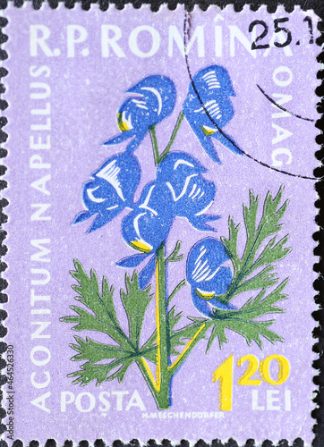 Romania - Circa 1959: a postage stamp printed in the Romania showing flowering flora from Romania: Aconitum napellus