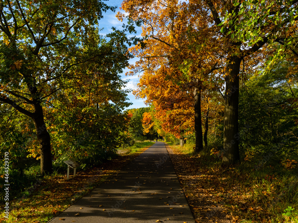 Naklejka premium Herbst