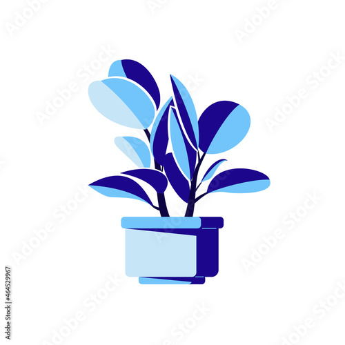 Flat vector illustration of ficus in a flowerpot on white background. Image of houseplant and pot made in blue colors. Idea for a poster, sticker, book, web design and so on.