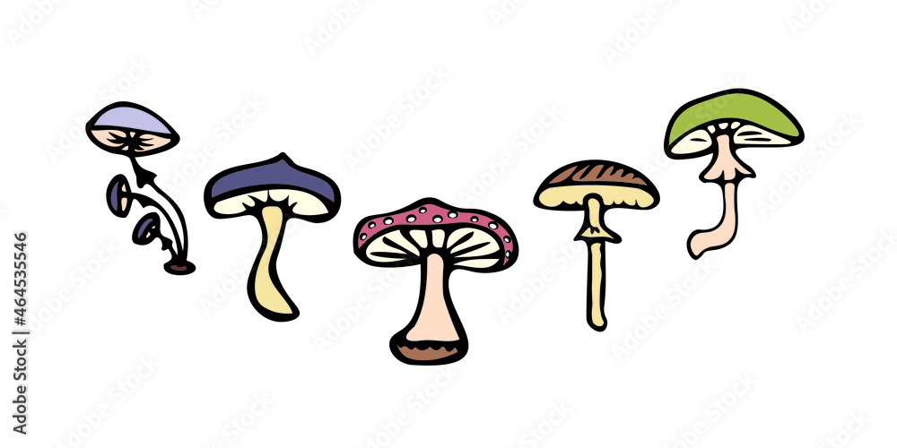Vector image. Set of colored mushrooms in doodle style, edible and non-edible mushrooms. Template for creating compositions, printing patterns.