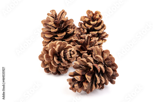 Pine cones isolated on a white background, photography
