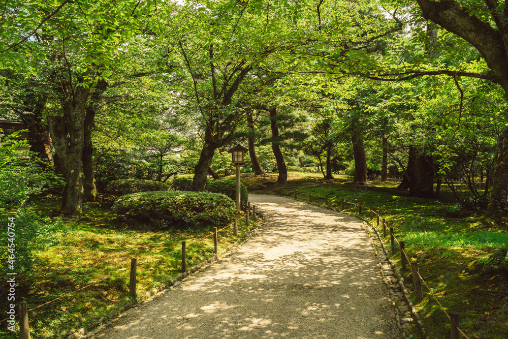 Fototapeta premium 歩けば続く日本庭園の道