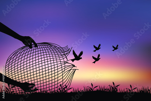 freedom concept vector, birds flying for freedom from bird trap net, the bird released from the net, bird set free.