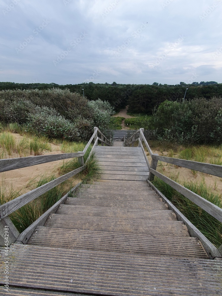 holztreppe zum strand