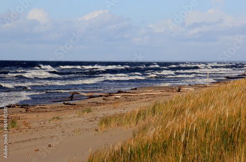 Fototapeta Naklejka Na Ścianę i Meble -  Seascape during a storm with large waves, Carnikava, Latvia. Big and powerful sea waves during the storm 