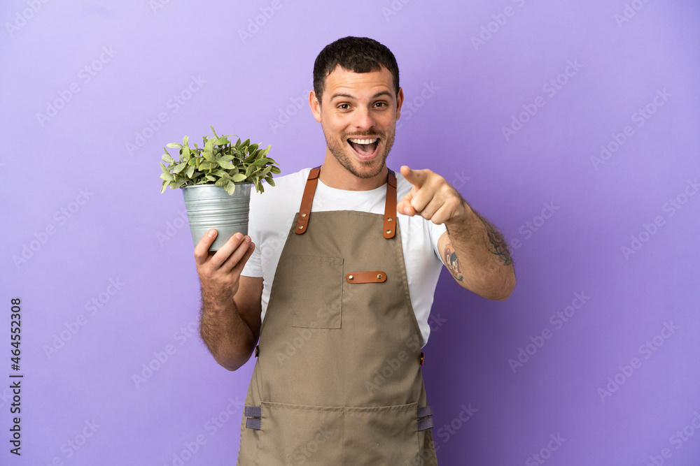 Brazilian Gardener man holding a plant over isolated purple background surprised and pointing front Brazilian Gardener man holding a plant over isolated purple background surprised and pointing front