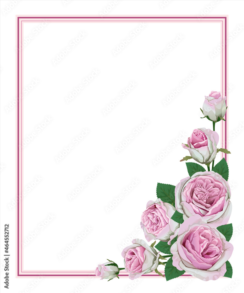 pink roses, leaf and buds, vintage roses, watercolor flowers, floral illustration isolated on white background, branches with roses, card with place for text, invitation 