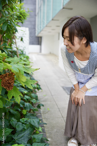 花壇を見る40代のエプロンを付けたアジア人女性