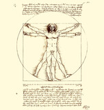 Leonardo Da Vinci Vitruvian Man sketch page