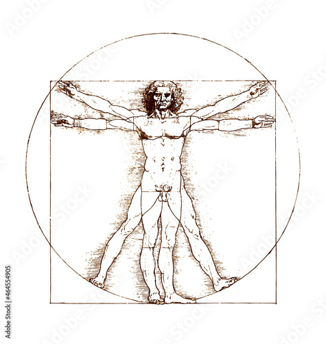 leonardo da vinci vitruvian man sketch