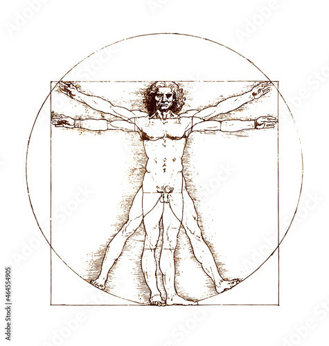 leonardo da vinci vitruvian man sketch photo