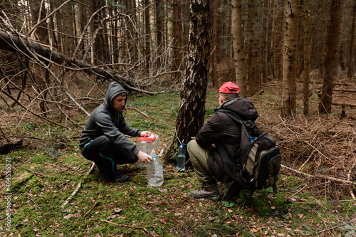Useful spring birch sap, harvesting birch drip method in the woods.
