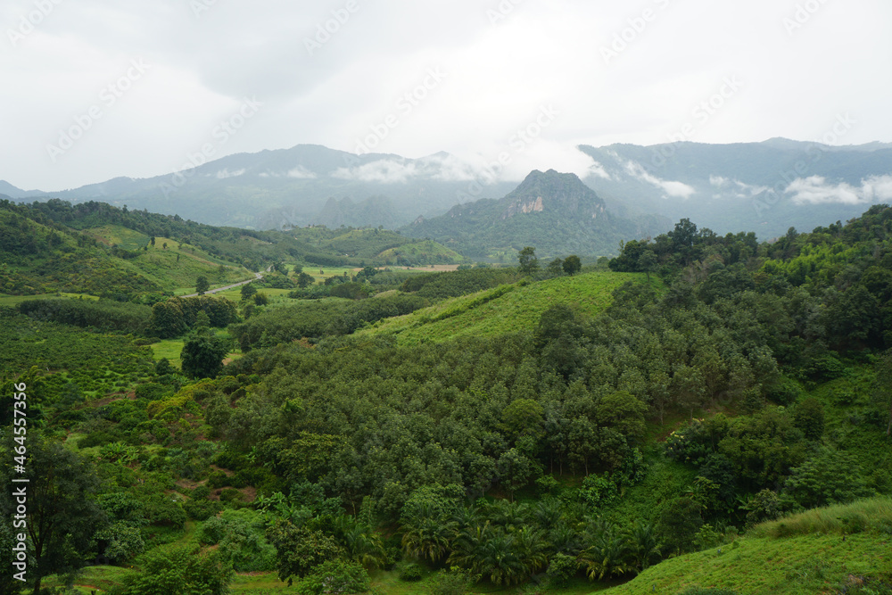 Fototapeta premium Beautiful natural scenery of mountains and forests of Nan province, Thailand.