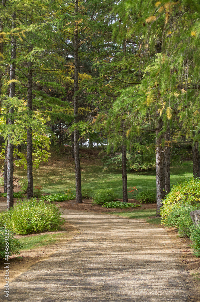 A Path in the Park A Path in the Park
