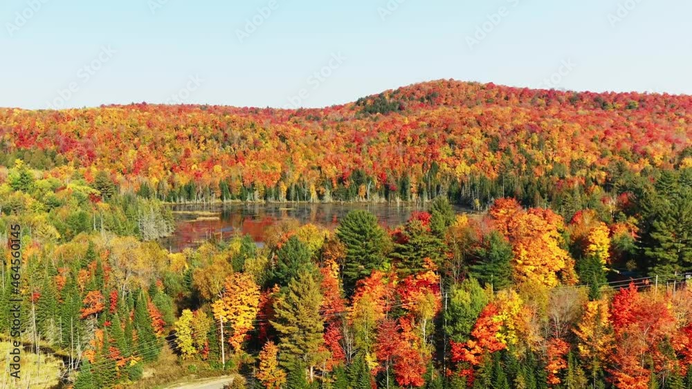Aerial view of colorful autumn trees in the mountains surrounding a lake Aerial view of colorful autumn trees in the mountains surrounding a lake