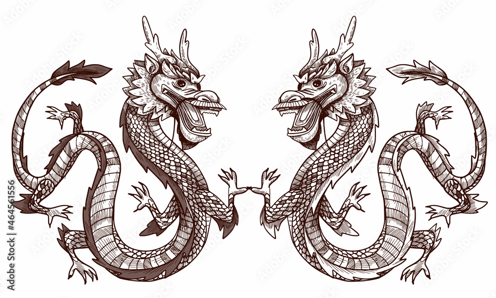 Obraz premium Japanese dragon illustration. This is also Chinese dragon vector tatou art. Vector graphics for Tato or t-shirt prints and other uses.