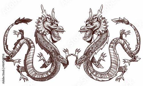 Japanese dragon illustration. This is also Chinese dragon vector tatou art. Vector graphics for Tato or t-shirt prints and other uses.