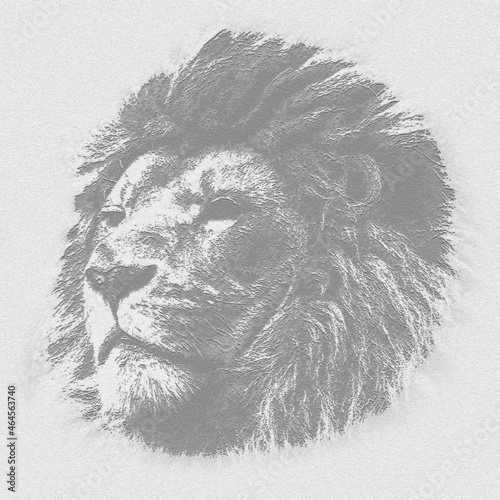 Hand drawn sketch of lion