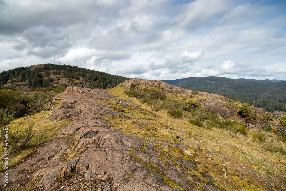 Fototapeta premium mountain top view of trees, rocks and clouds on Mount Wells in British Columbia, Canada