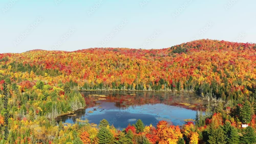 Aerial drone view of a quiet lake of an autumn landscape Aerial drone view of a quiet lake of an autumn landscape