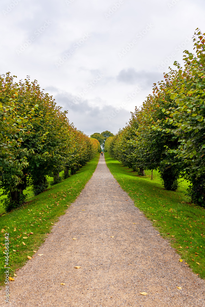 Allee und Weg zum Schloss Bothmer