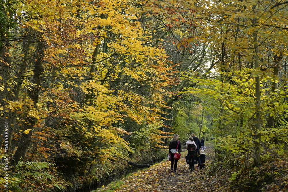 Fototapeta premium Promenade en famille le long de la Woluwe dans un décor automnal à Woluwe-St-Lambert à l'est de Bruxelles