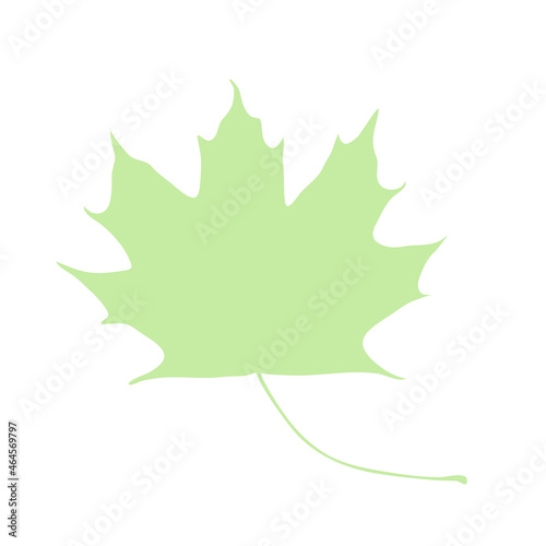 maple leaf silhouette isolated on a white background