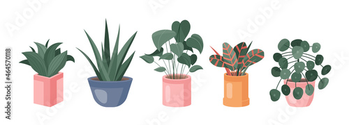 Trendy collection of home cute plants and succulents in flowerpots pack icons. Set of houseplants and succulents in pots modern illustrations. Cozy vector decoration elements in flat swiss style.
