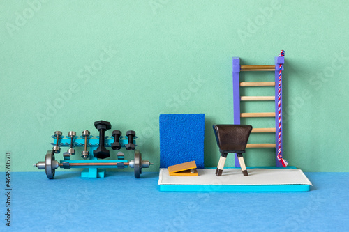 Toy gym with equipment for fitness, gymnastic and strength training and exercises. Rack barbell and dumbbells, wall bars Swedish ladder with high bar and rope. Vaulting buck, mat and spring board.