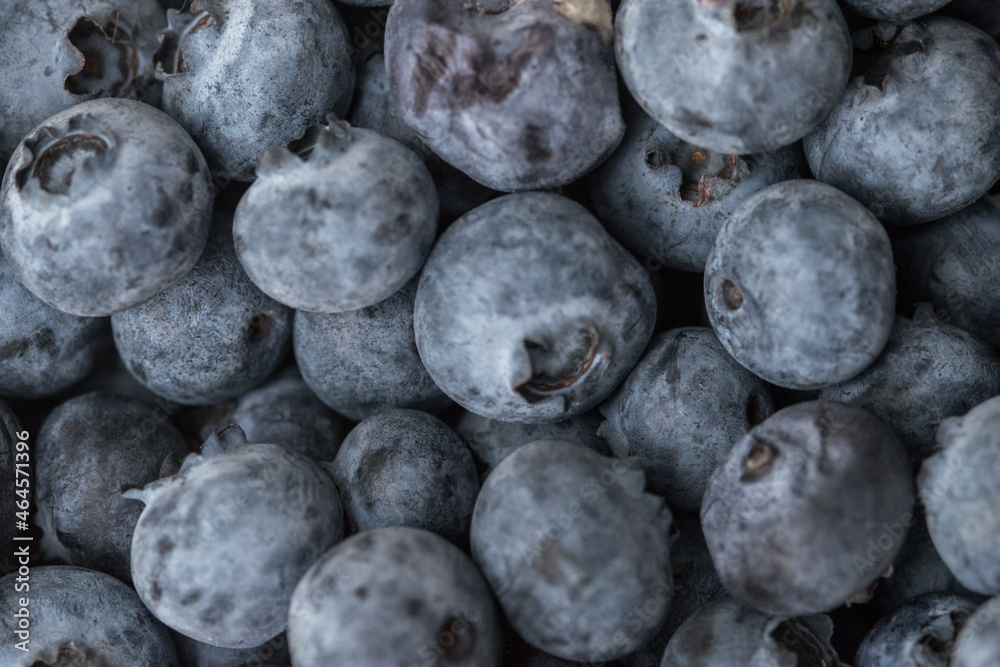 Close-up shot of delicious vibrant coloured blueberries Close-up shot of delicious vibrant coloured blueberries