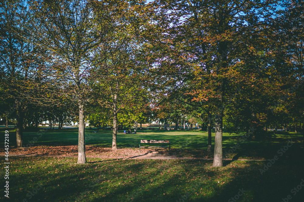 park in autumn park in autumn