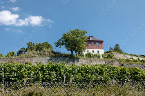 Freyburg (Unstrut) Weinanbau