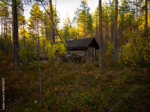 house in the woods © Olga