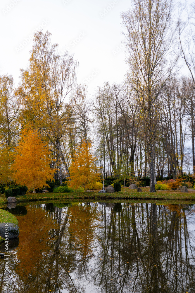 autumn landscape with trees and pond autumn landscape with trees and pond