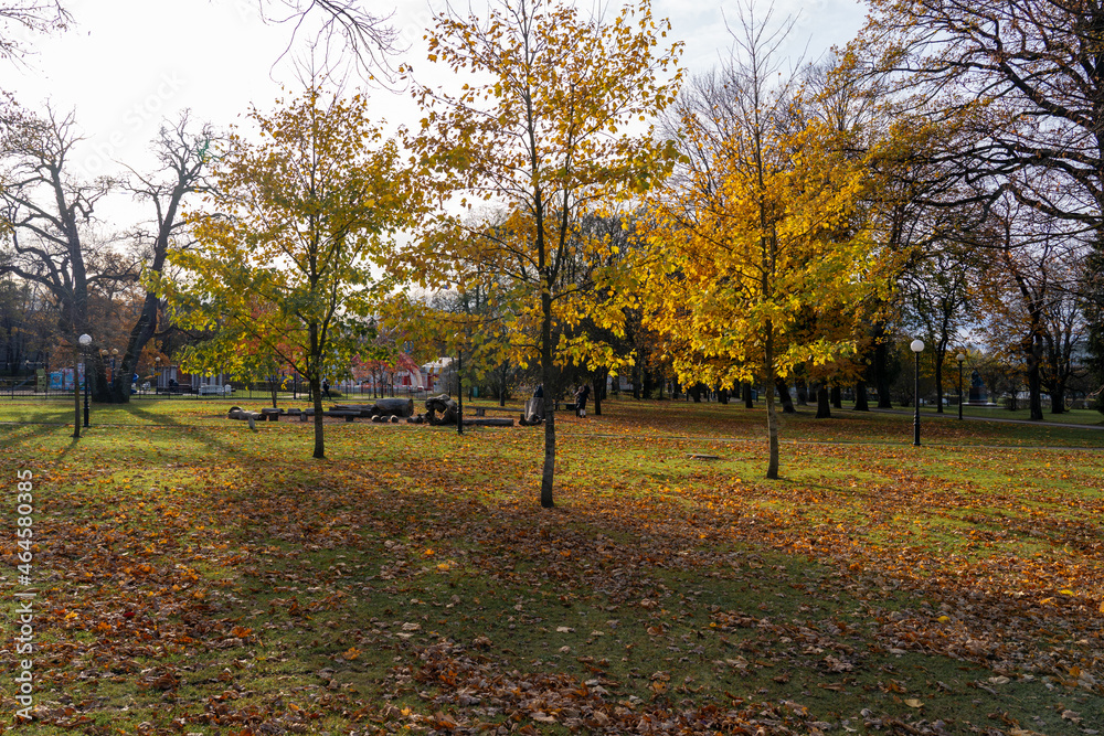 autumn trees in the park Kadriorg