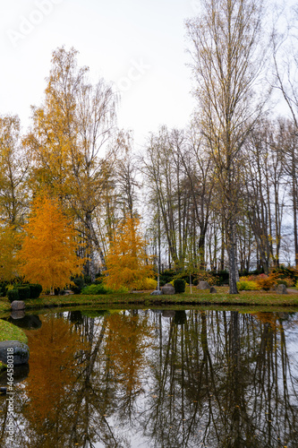 autumn landscape with trees and pond