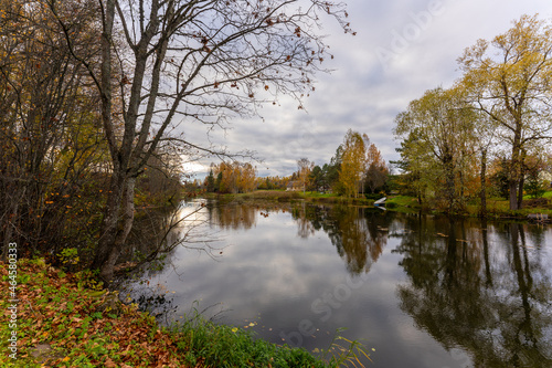 autumn landscape with lake