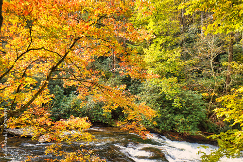 A beautiful mountain river in Western North Carolina, USA, in the fall with the fall colors.