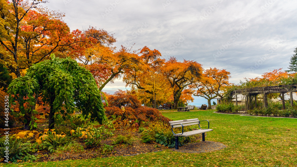 Bright Fall colours at Burnaby Mountain Park gardens on a cloudy day.