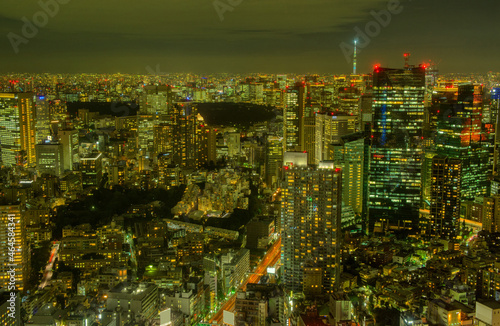 東京夜景 六本木から望む皇居 霞ヶ関 丸の内方面 2021