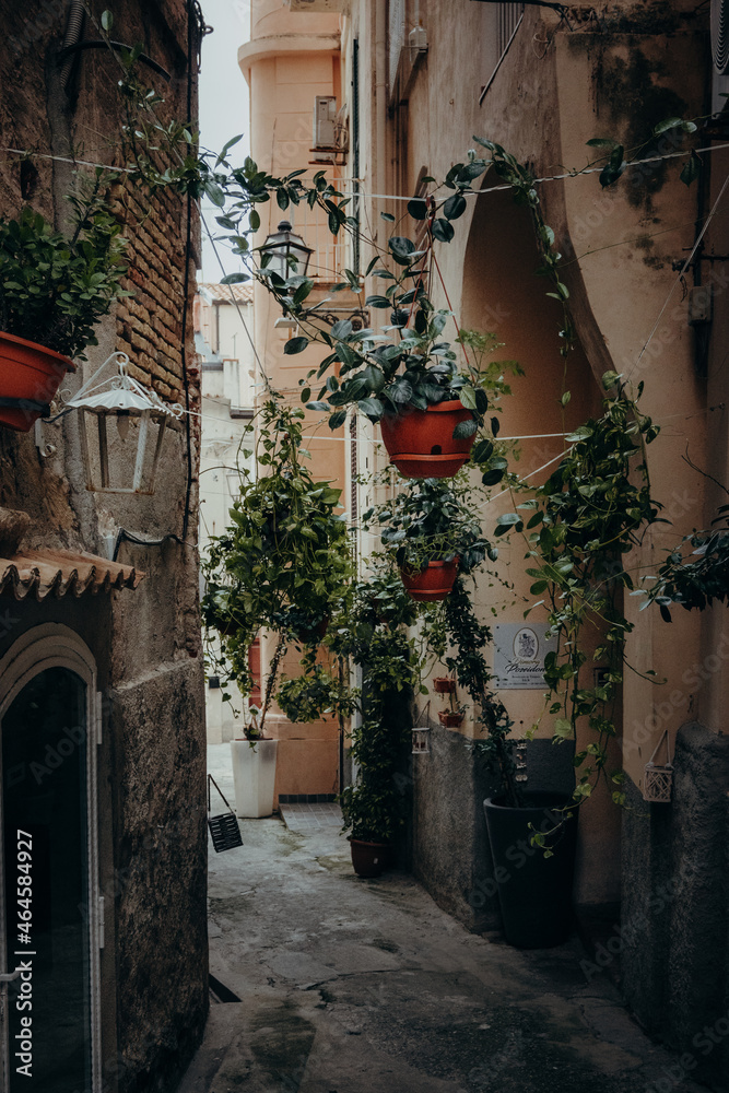 Blick in eine schön mit Pflanzen dekorierte Gasse in der Altstadt von Tropea, Kalabrien, Italien