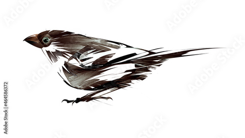 drawn colored stylized bird sparrow on white background