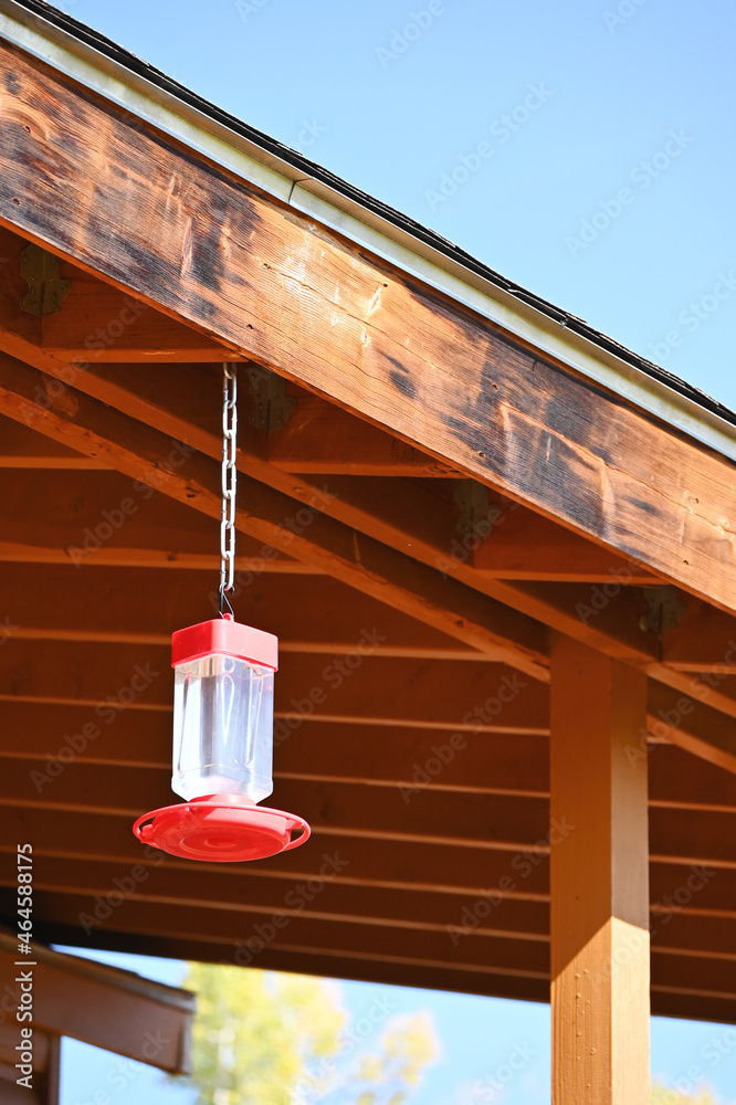 Hummingbird Feeder at the Cabin