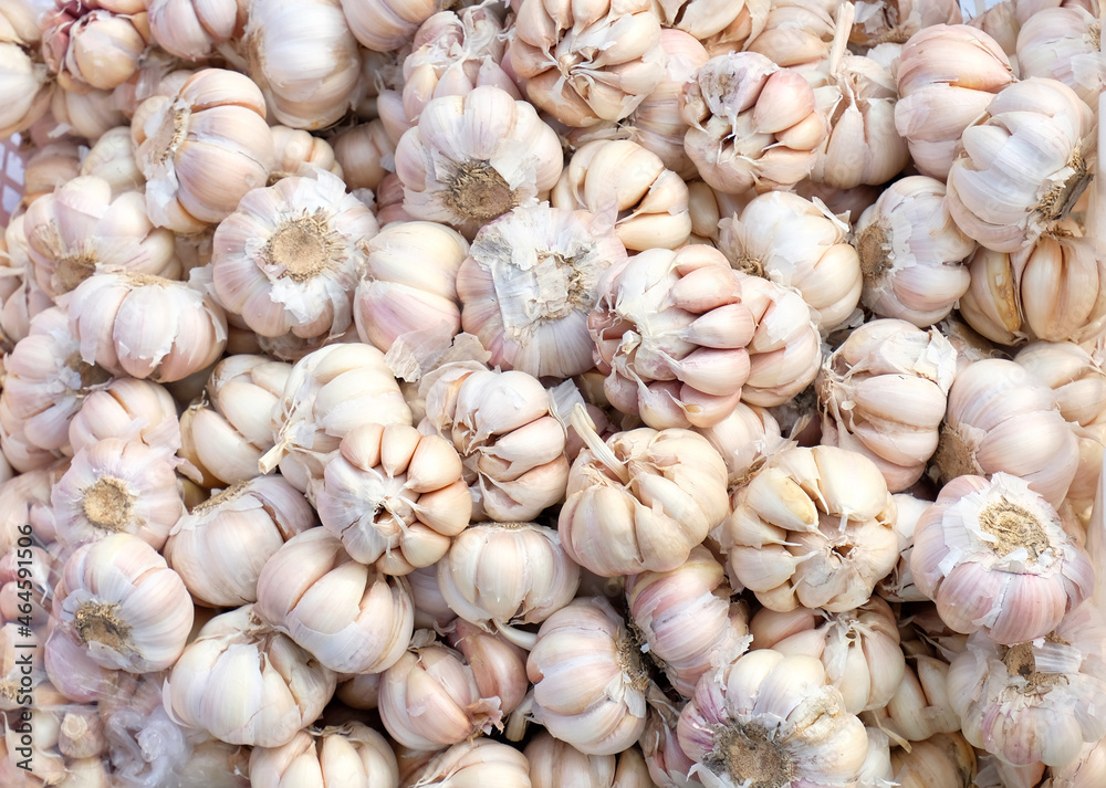 Garlic - close up detail of garlic. garlic in the basket