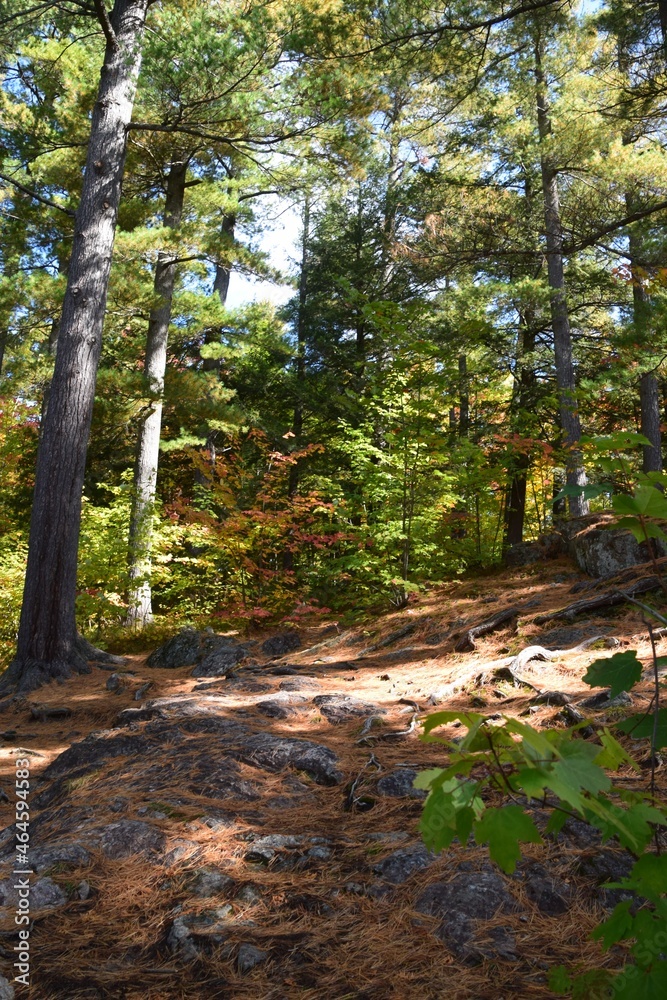 Obraz premium Lanaudiere region in southern Quebec 