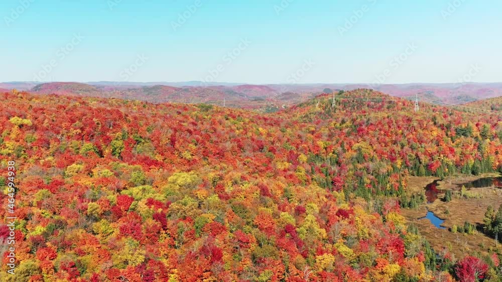 Aerial view coming down showing the mountains and revealing hydro lines accross the colorful trees in Autumn