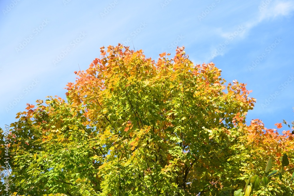 Naklejka premium Lanaudiere region in southern Quebec 