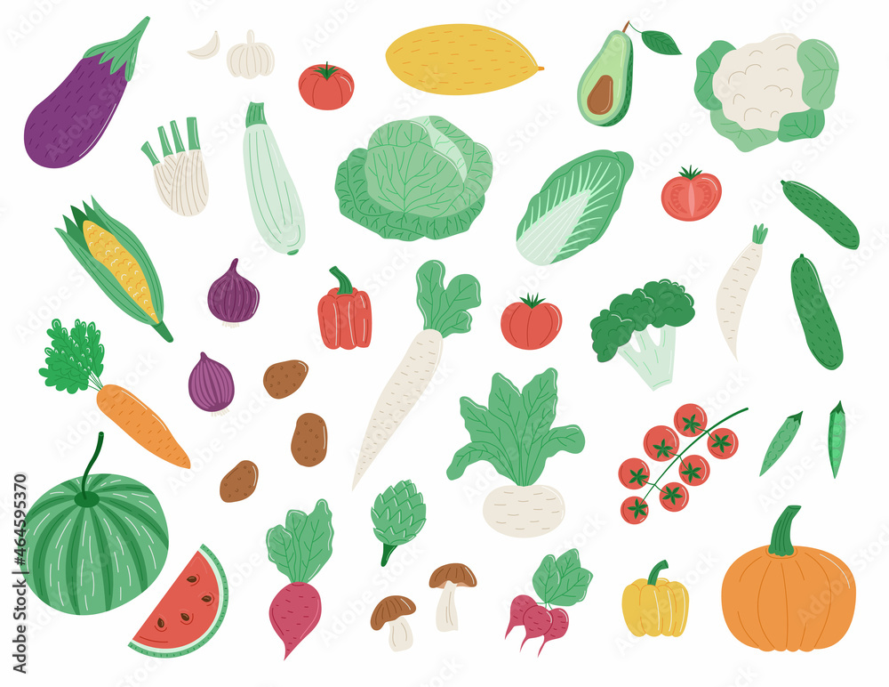 Obraz premium Collection of various organic vegetables