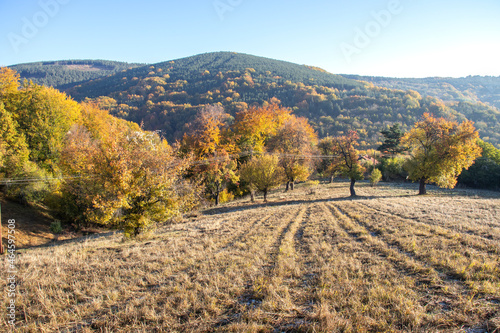 Autumn Landscape of Erul mountain near Golemi peak, Bulgaria